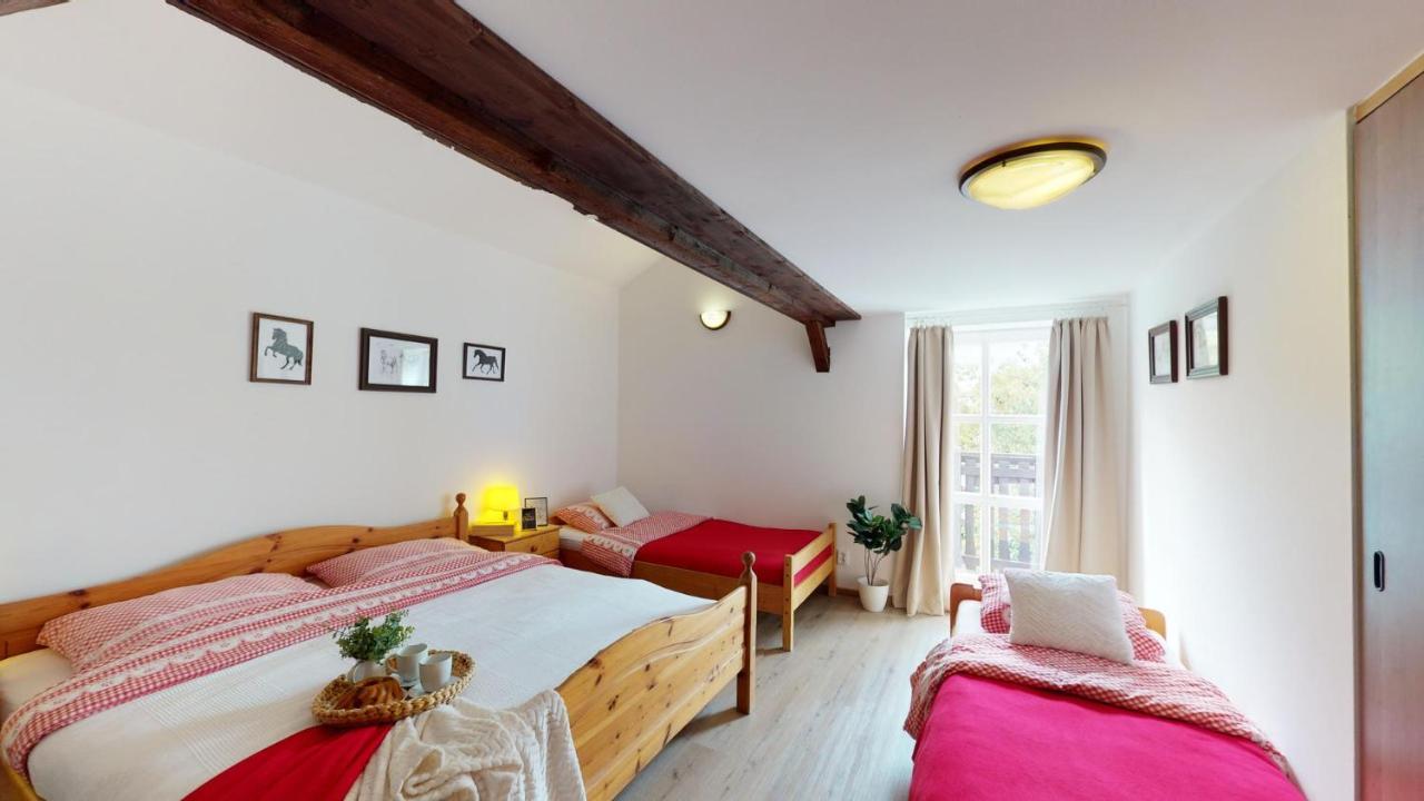 Pension U Sebastiana Hodousice Екстериор снимка